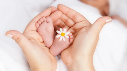 How Does the Court Determine the Best Interests of the Child?