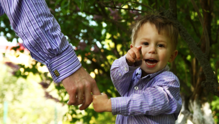 How Can an Attorney Help Establish Parental Rights?