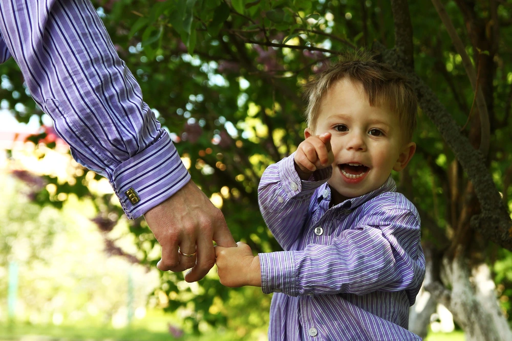 How Can an Attorney Help Establish Parental Rights?